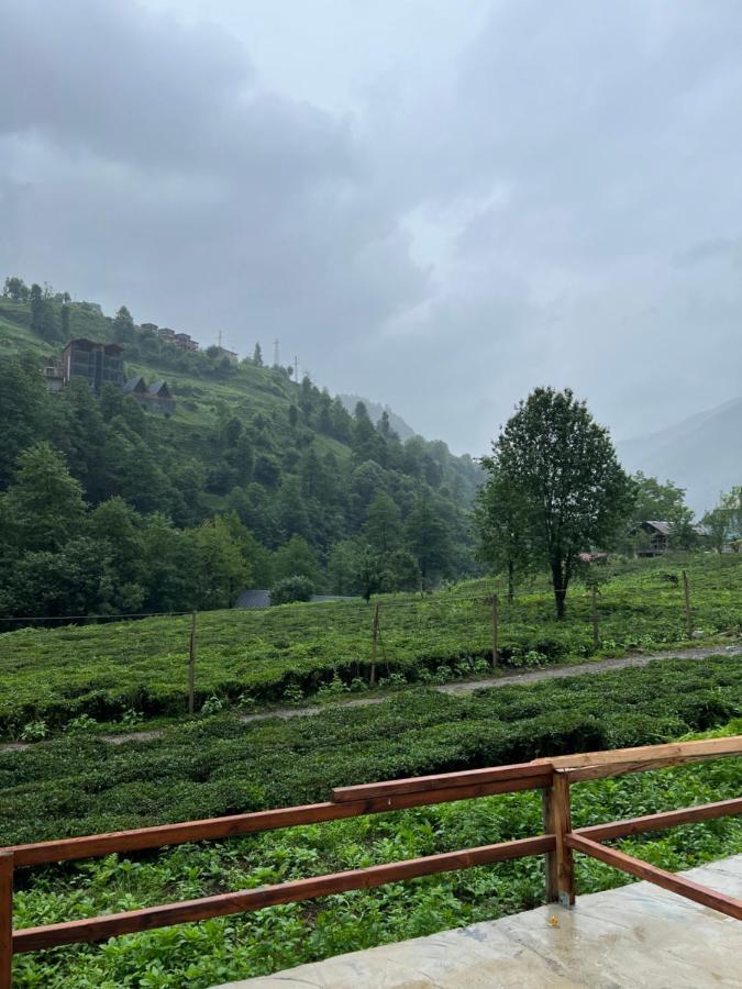 Afara Bungalows Otel & Cafe Rize Exterior photo